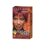 CLAIROL TEXTURES & TONES PERMANENT HAIR COLOR - COLORS AVAILABLE